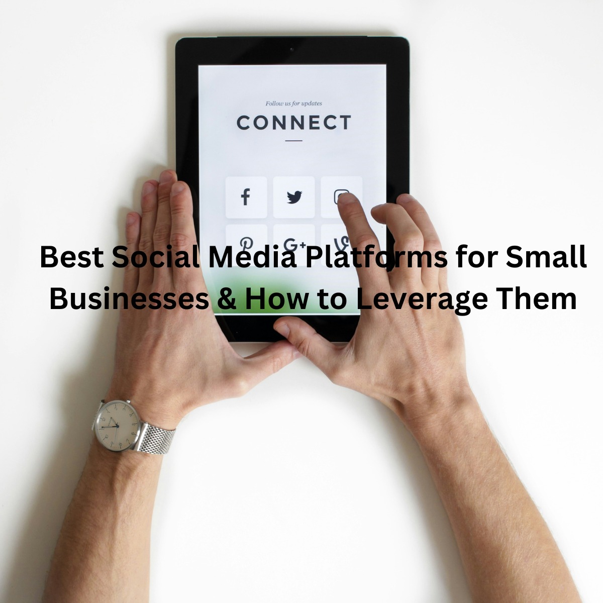 Best Social Media Platforms for Small Businesses & How to Leverage Them